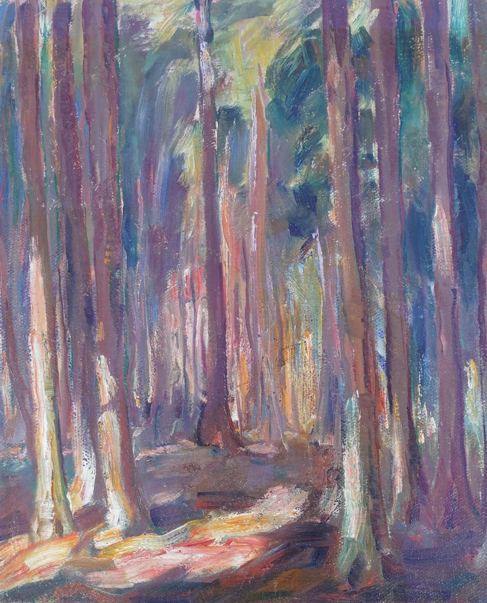 Sole nella foresta